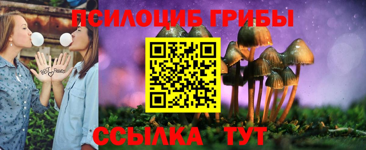 Корсаков  купить  цена  Вход с VPN  Галлюциногенные грибы MAGIC MUSHROOMS 