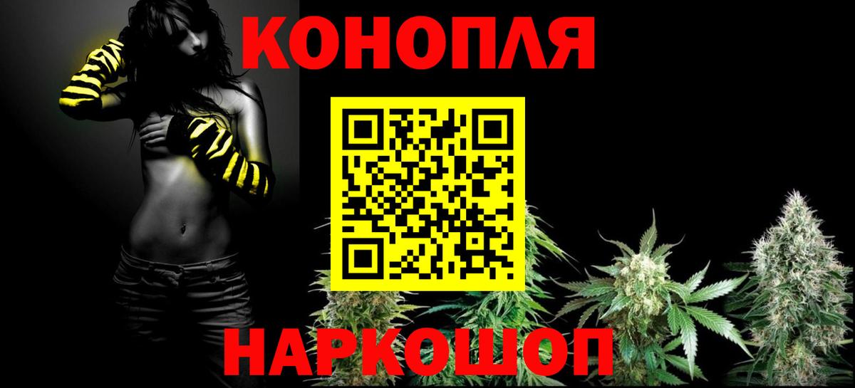 Канабис гибрид Корсаков